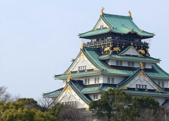 激戦地域、大阪市🔥