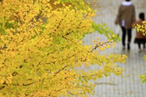 潜在看護師とは？復職を目指すためのポイントやおすすめの働き方を紹介