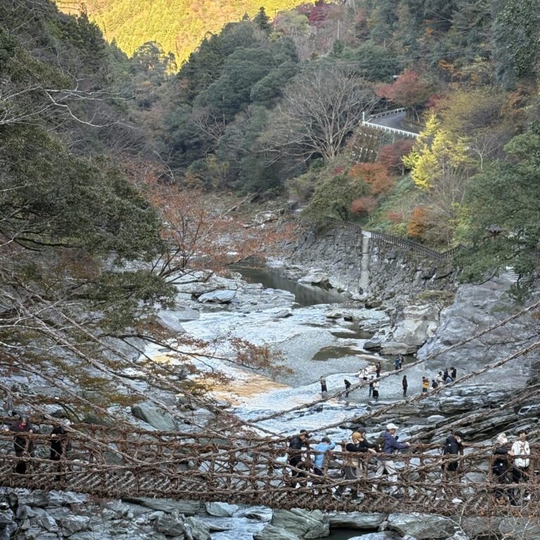 森内 佳代