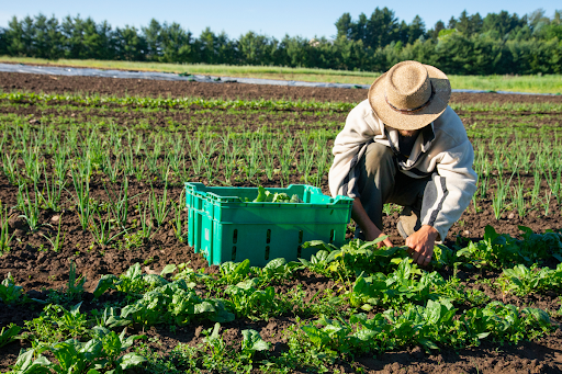 a型作業所の仕事内容