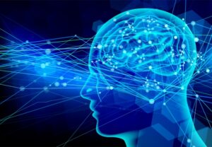 前頭葉が発達している人の特徴とは？性格や行動パターンを解説