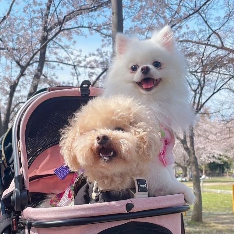 遠藤 護